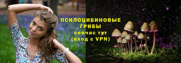дмт Алексеевка
