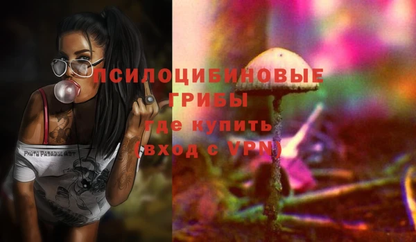 соль ск Абдулино