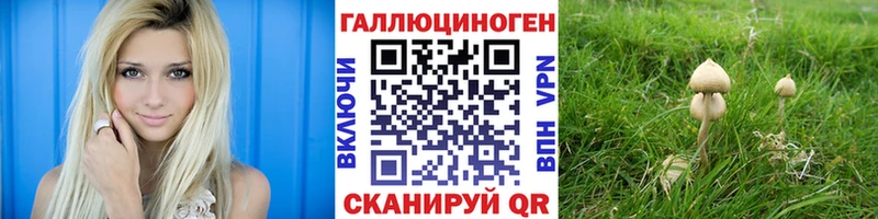 Галлюциногенные грибы MAGIC MUSHROOMS  Лосино-Петровский 